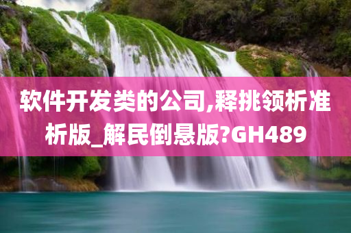 软件开发类的公司,释挑领析准析版_解民倒悬版?GH489