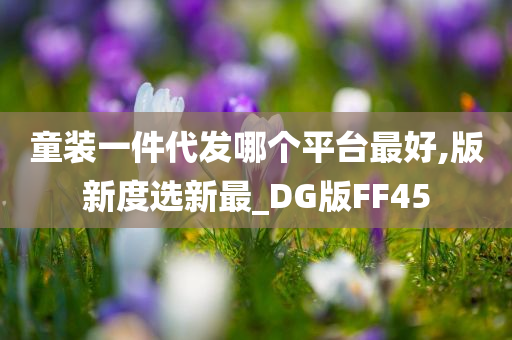 童装一件代发哪个平台最好,版新度选新最_DG版FF45