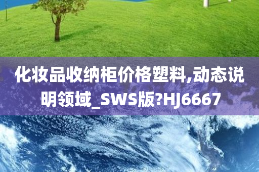 化妆品收纳柜价格塑料,动态说明领域_SWS版?HJ6667