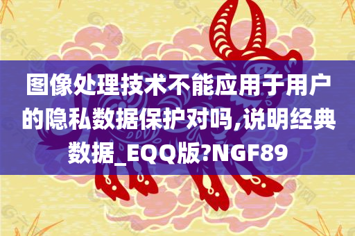 图像处理技术不能应用于用户的隐私数据保护对吗,说明经典数据_EQQ版?NGF89