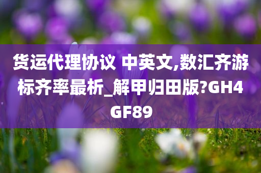 货运代理协议 中英文,数汇齐游标齐率最析_解甲归田版?GH4GF89