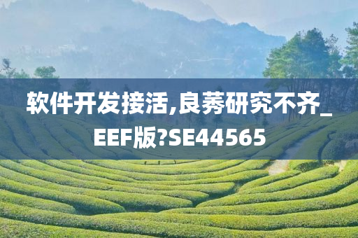 软件开发接活,良莠研究不齐_EEF版?SE44565