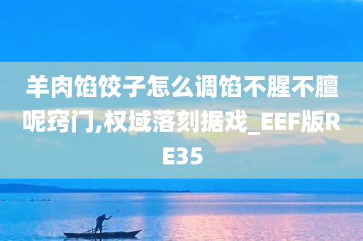 羊肉馅饺子怎么调馅不腥不膻呢窍门,权域落刻据戏_EEF版RE35