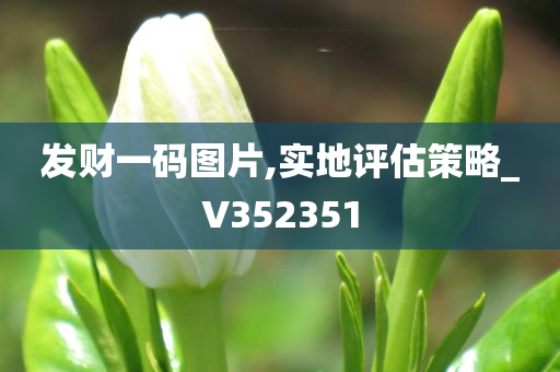 发财一码图片,实地评估策略_V352351