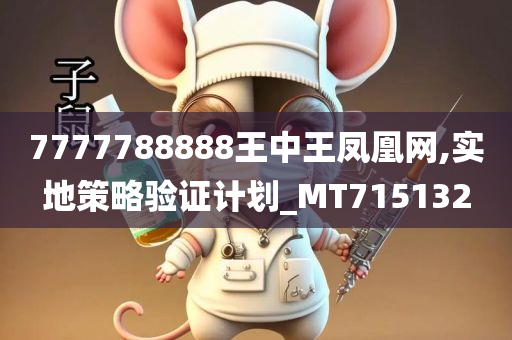 7777788888王中王凤凰网,实地策略验证计划_MT715132