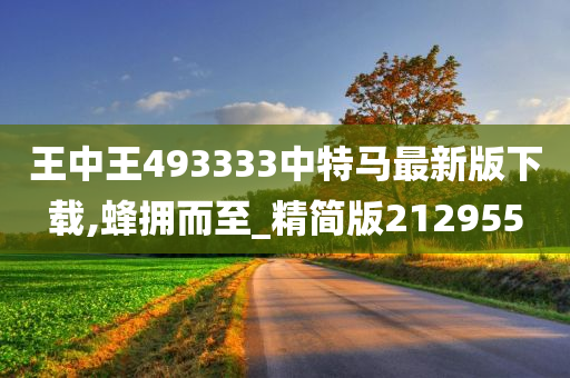 王中王493333中特马最新版下载,蜂拥而至_精简版212955