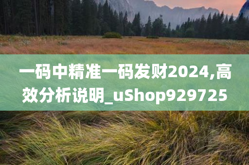 一码中精准一码发财2024,高效分析说明_uShop929725