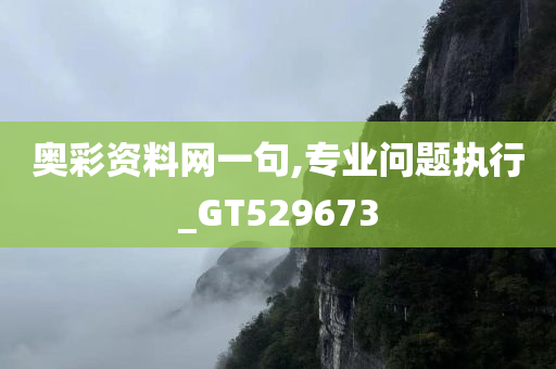 奥彩资料网一句,专业问题执行_GT529673