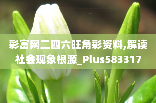 彩富网二四六旺角彩资料,解读社会现象根源_Plus583317