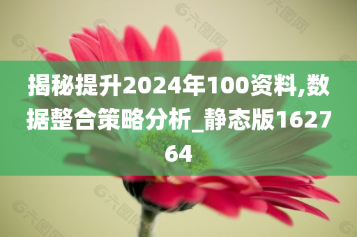 揭秘提升2024年100资料,数据整合策略分析_静态版162764