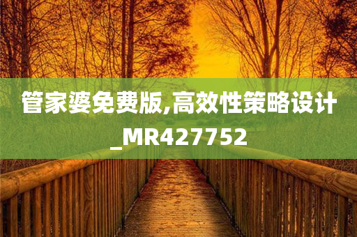 管家婆免费版,高效性策略设计_MR427752