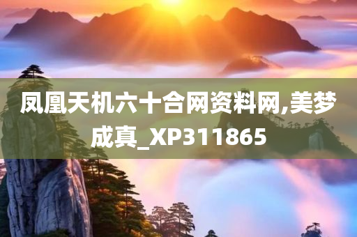 凤凰天机六十合网资料网,美梦成真_XP311865