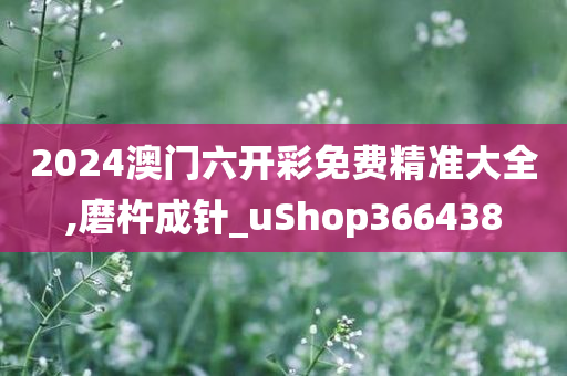 2024澳门六开彩免费精准大全,磨杵成针_uShop366438