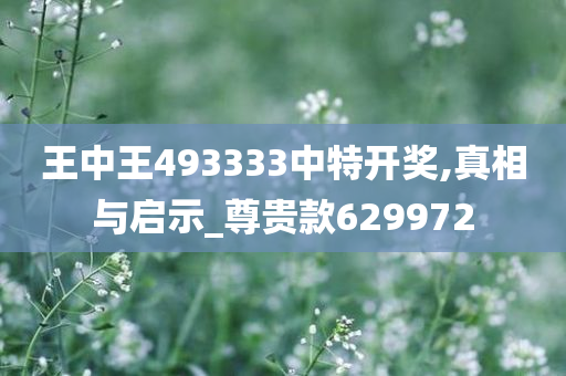 王中王493333中特开奖,真相与启示_尊贵款629972