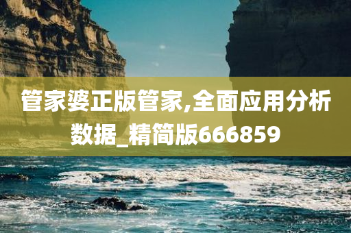 管家婆正版管家,全面应用分析数据_精简版666859