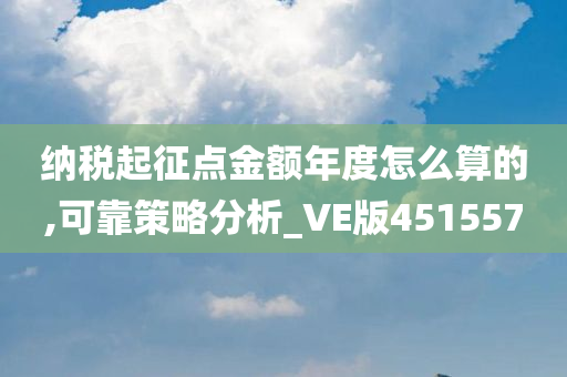 纳税起征点金额年度怎么算的,可靠策略分析_VE版451557