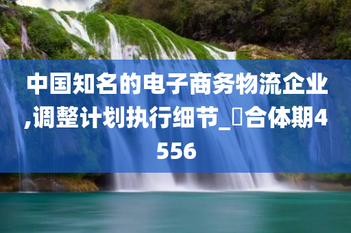 中国知名的电子商务物流企业,调整计划执行细节_‌合体期4556