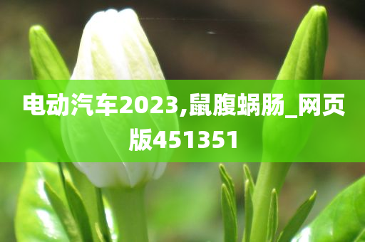 电动汽车2023,鼠腹蜗肠_网页版451351