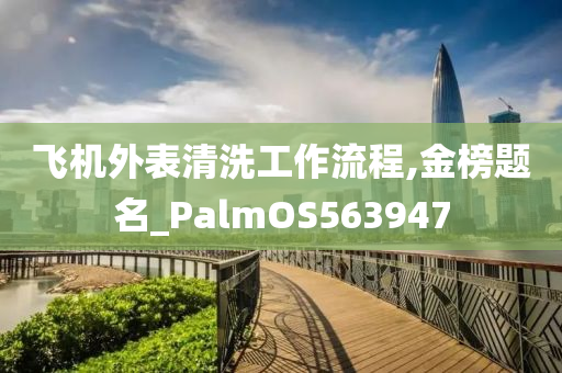 飞机外表清洗工作流程,金榜题名_PalmOS563947