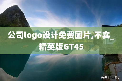 公司logo设计免费图片,不实_精英版GT45