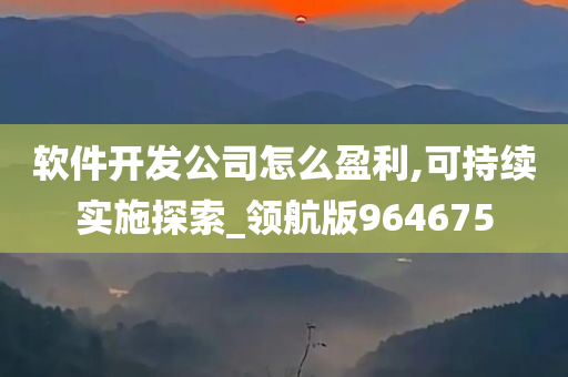 软件开发公司怎么盈利,可持续实施探索_领航版964675