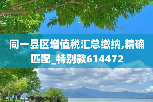 同一县区增值税汇总缴纳,精确匹配_特别款614472