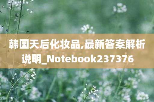 韩国天后化妆品,最新答案解析说明_Notebook237376