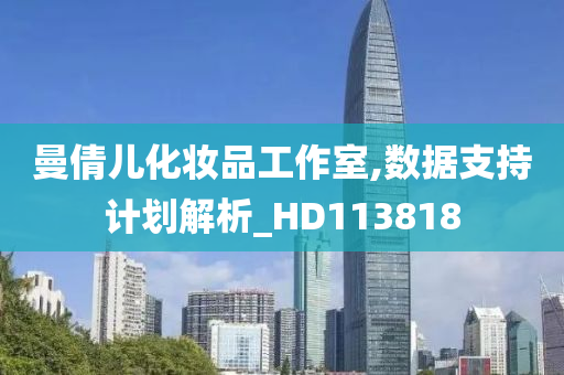 曼倩儿化妆品工作室,数据支持计划解析_HD113818