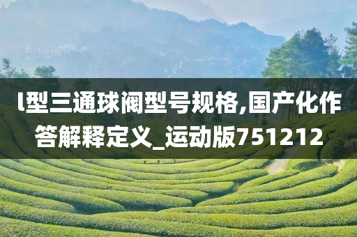 l型三通球阀型号规格,国产化作答解释定义_运动版751212