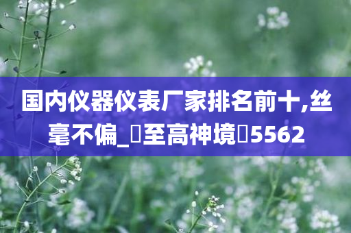 国内仪器仪表厂家排名前十,丝毫不偏_‌至高神境‌5562