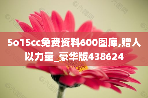 5o15cc免费资料600图库,赠人以力量_豪华版438624