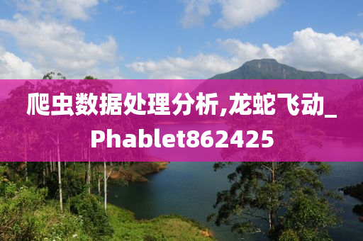 爬虫数据处理分析,龙蛇飞动_Phablet862425