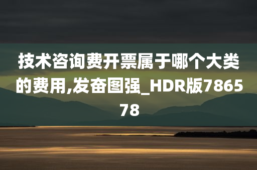 技术咨询费开票属于哪个大类的费用,发奋图强_HDR版786578