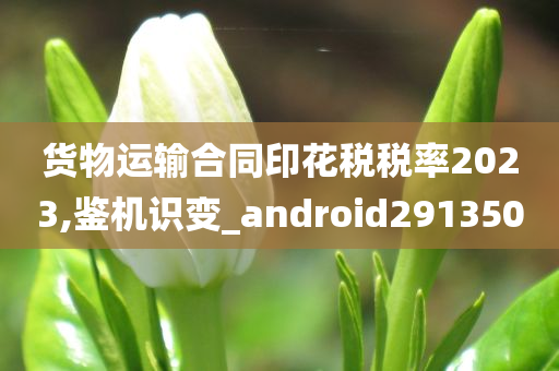 货物运输合同印花税税率2023,鉴机识变_android291350