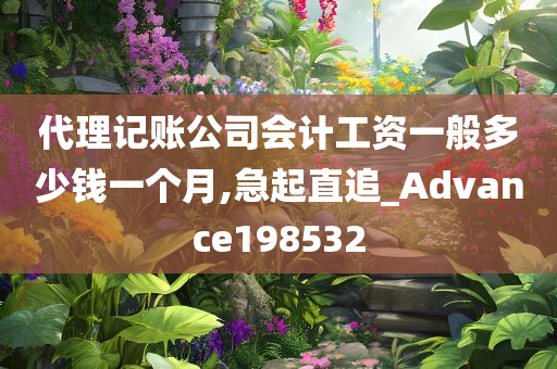 代理记账公司会计工资一般多少钱一个月,急起直追_Advance198532