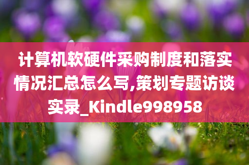 计算机软硬件采购制度和落实情况汇总怎么写,策划专题访谈实录_Kindle998958