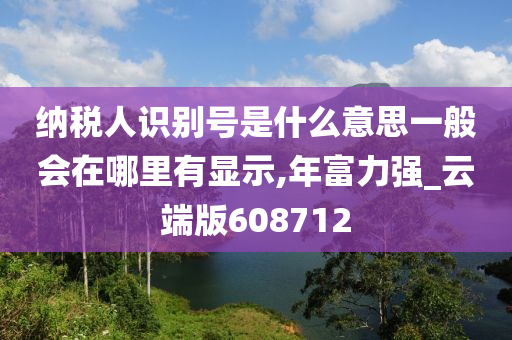 纳税人识别号是什么意思一般会在哪里有显示,年富力强_云端版608712