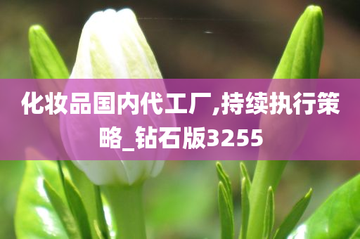 化妆品国内代工厂,持续执行策略_钻石版3255