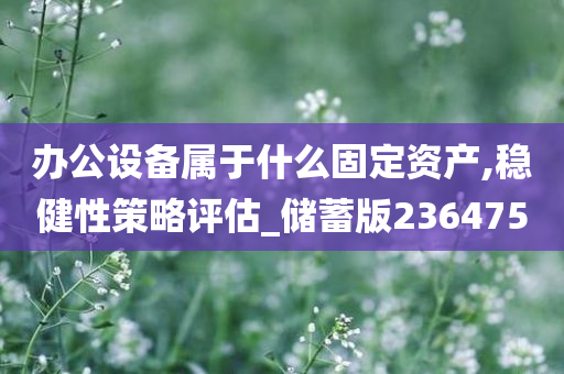 办公设备属于什么固定资产,稳健性策略评估_储蓄版236475