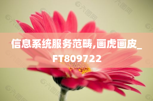 信息系统服务范畴,画虎画皮_FT809722