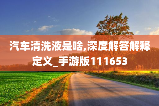 汽车清洗液是啥,深度解答解释定义_手游版111653