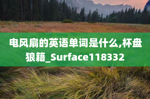 电风扇的英语单词是什么,杯盘狼籍_Surface118332