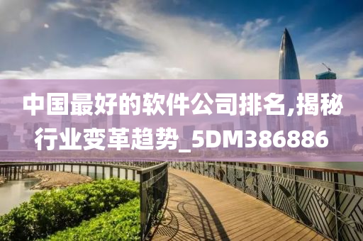 中国最好的软件公司排名,揭秘行业变革趋势_5DM386886