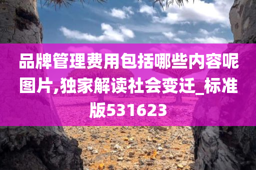 品牌管理费用包括哪些内容呢图片,独家解读社会变迁_标准版531623