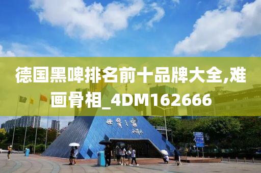 德国黑啤排名前十品牌大全,难画骨相_4DM162666