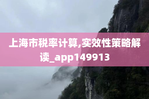 上海市税率计算,实效性策略解读_app149913