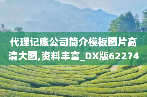 代理记账公司简介模板图片高清大图,资料丰富_DX版622740