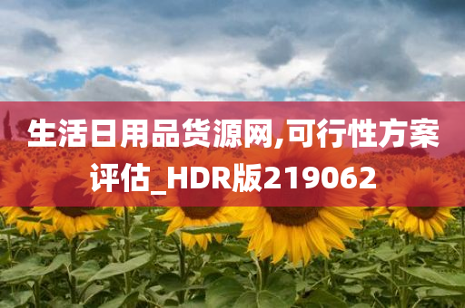 生活日用品货源网,可行性方案评估_HDR版219062