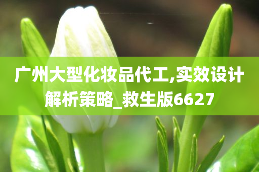 广州大型化妆品代工,实效设计解析策略_救生版6627