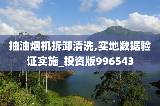 抽油烟机拆卸清洗,实地数据验证实施_投资版996543